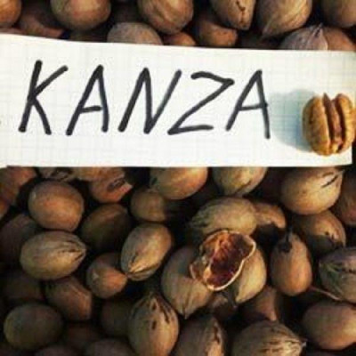 Орех Пекан Kanza