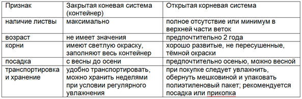 Признаки якості саджанців кустарників